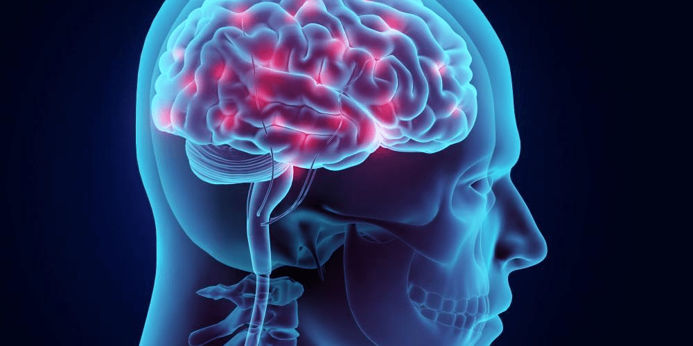 The Pain Pathway and Your Brain_ Leslie R DeLaney, MD_ Pain Management